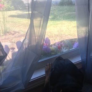 Meet your Posher, Jess